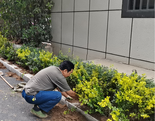 郑州市碧沙岗公园全力以赴<br>做好“喜迎二十大”氛围营造工作