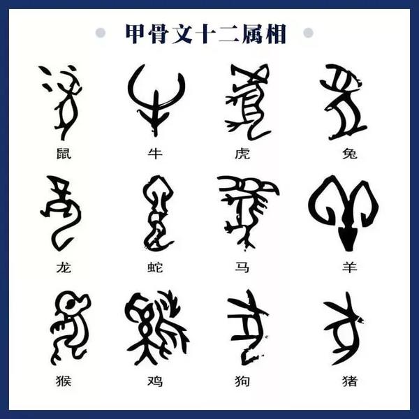 行走河南·读懂中国丨品味厚重河南之殷墟甲骨