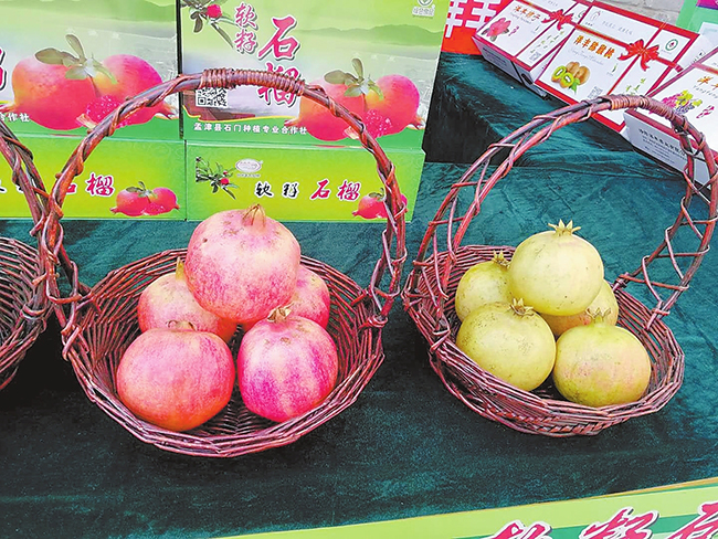 乡村游带来文旅热