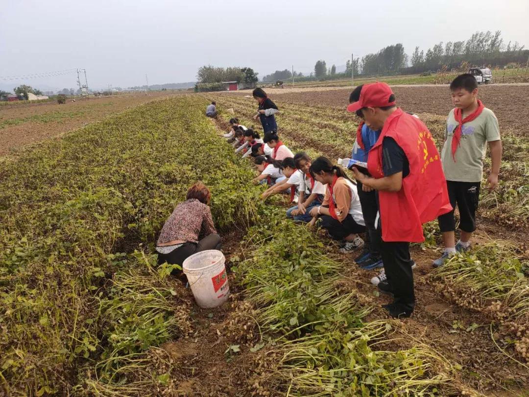 致敬劳动，礼赞丰收