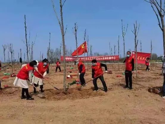 省林业局组织党员志愿者到黄河流域林木育种创新中心开展义务植树活动