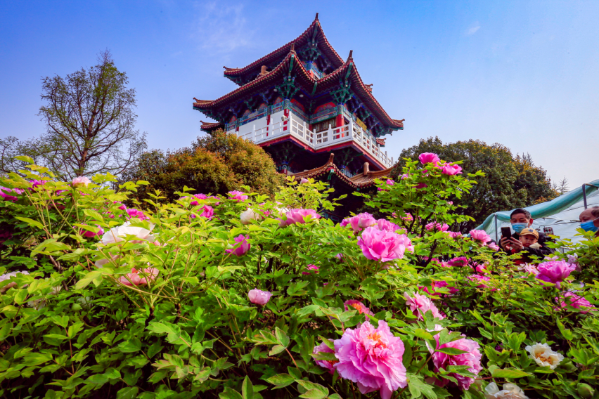 【行走河南·读懂中国】