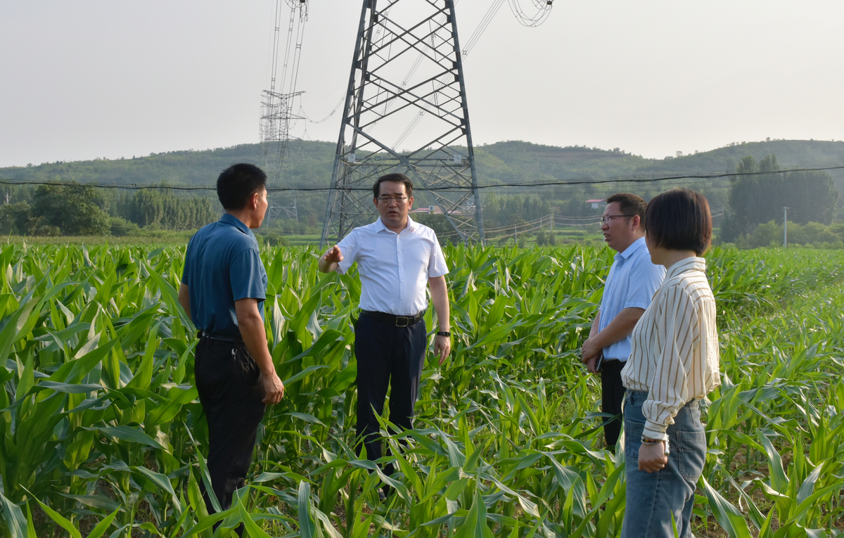 孫巍峰到濟(jì)源示范區(qū)調(diào)研和美鄉(xiāng)村建設(shè)工作