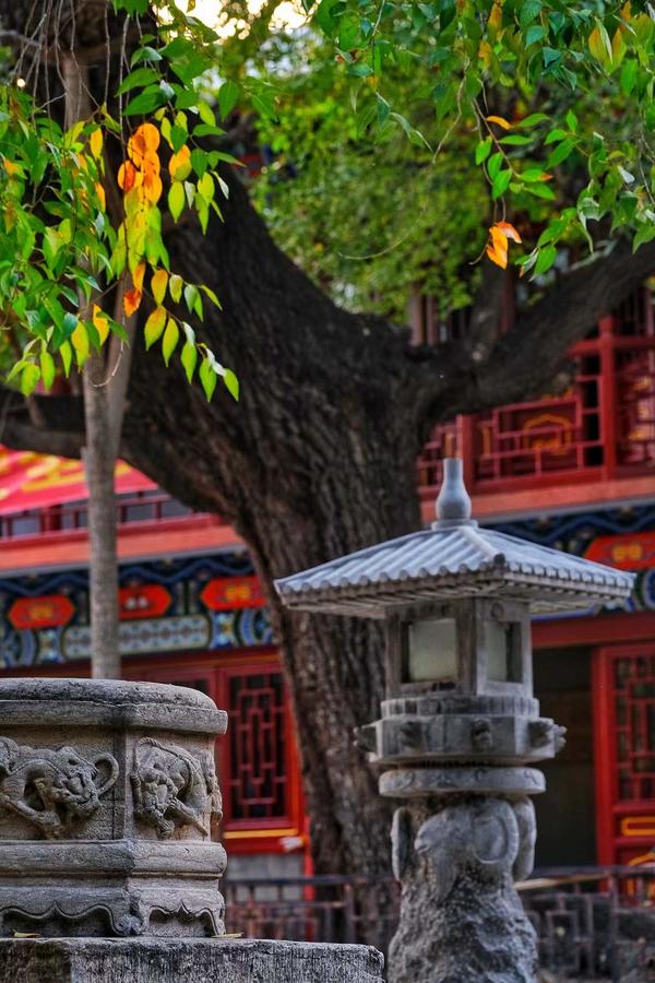 Picturesque Scenery of Zhengzhou Confucius Temple