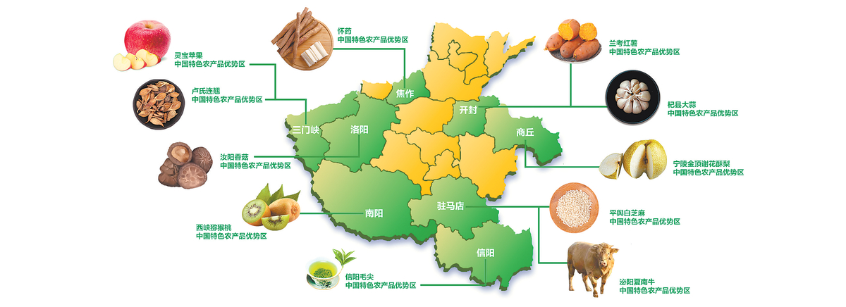 发现河南国字号“名片”