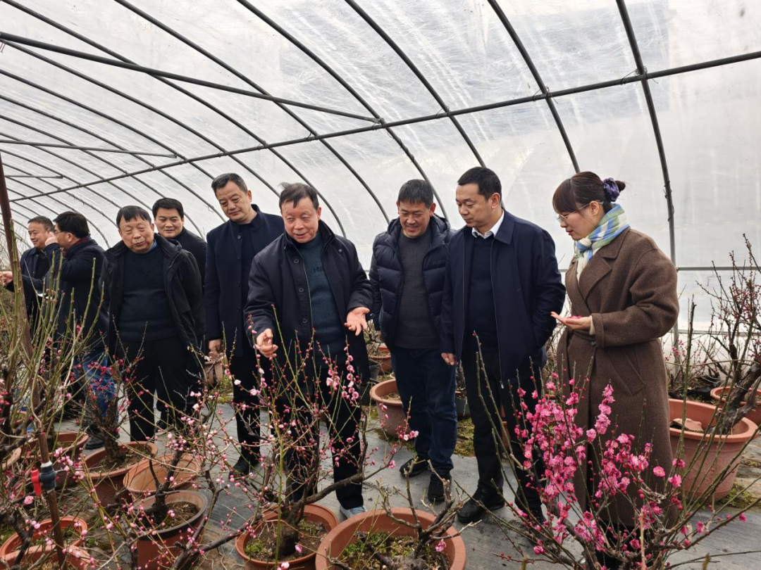 河南卢氏县与南京大学梅花合作发展座谈会召开