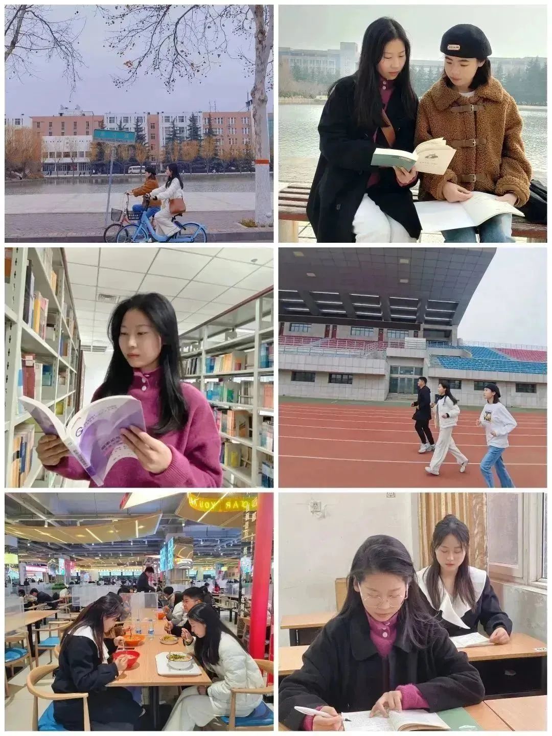 领航 | 这个春天，河南科技大学学子奔向哪里？