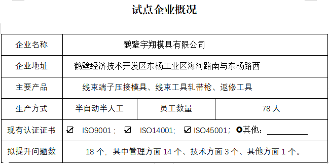 鹤壁宇翔模具有限公司