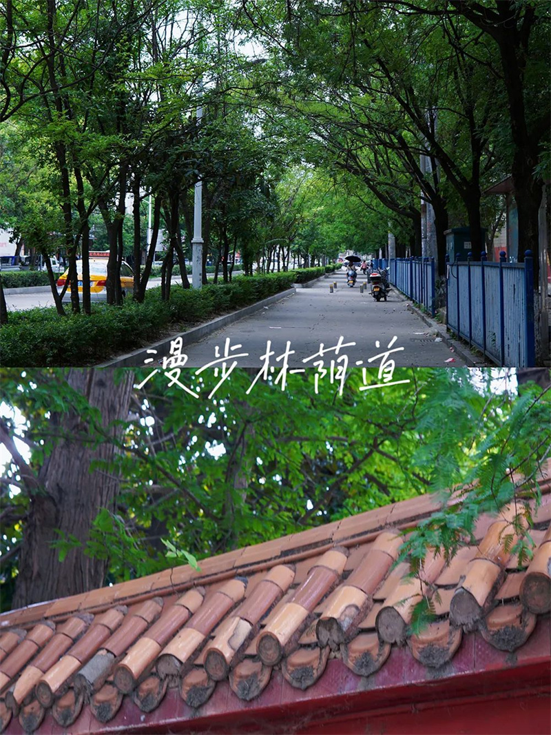 光山城市漫游Citywalk地图邀您一起压马路