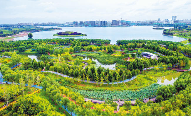 郑州滨湖湿地公园图片