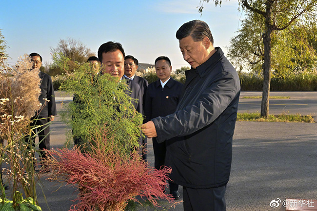 习近平在山东东营考察黄河入海口