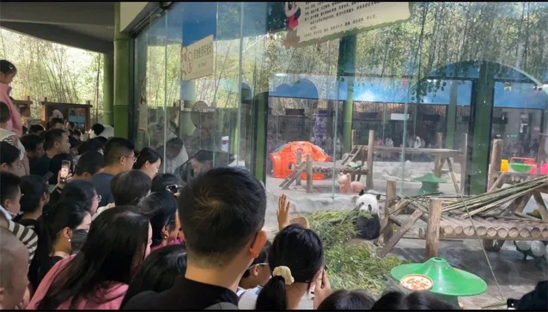 栾川：游客如织迎元旦 文旅市场繁盛行