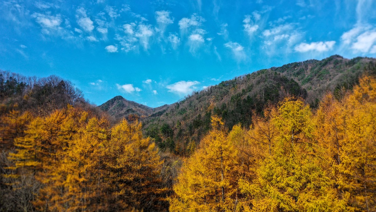 玉皇山国家森林公园斑斓秋景如梦似幻