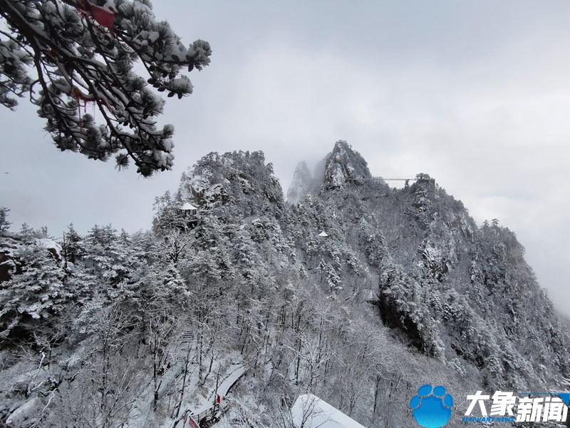 【行走河南·读懂中国】南阳老界岭：银装素裹扮河山