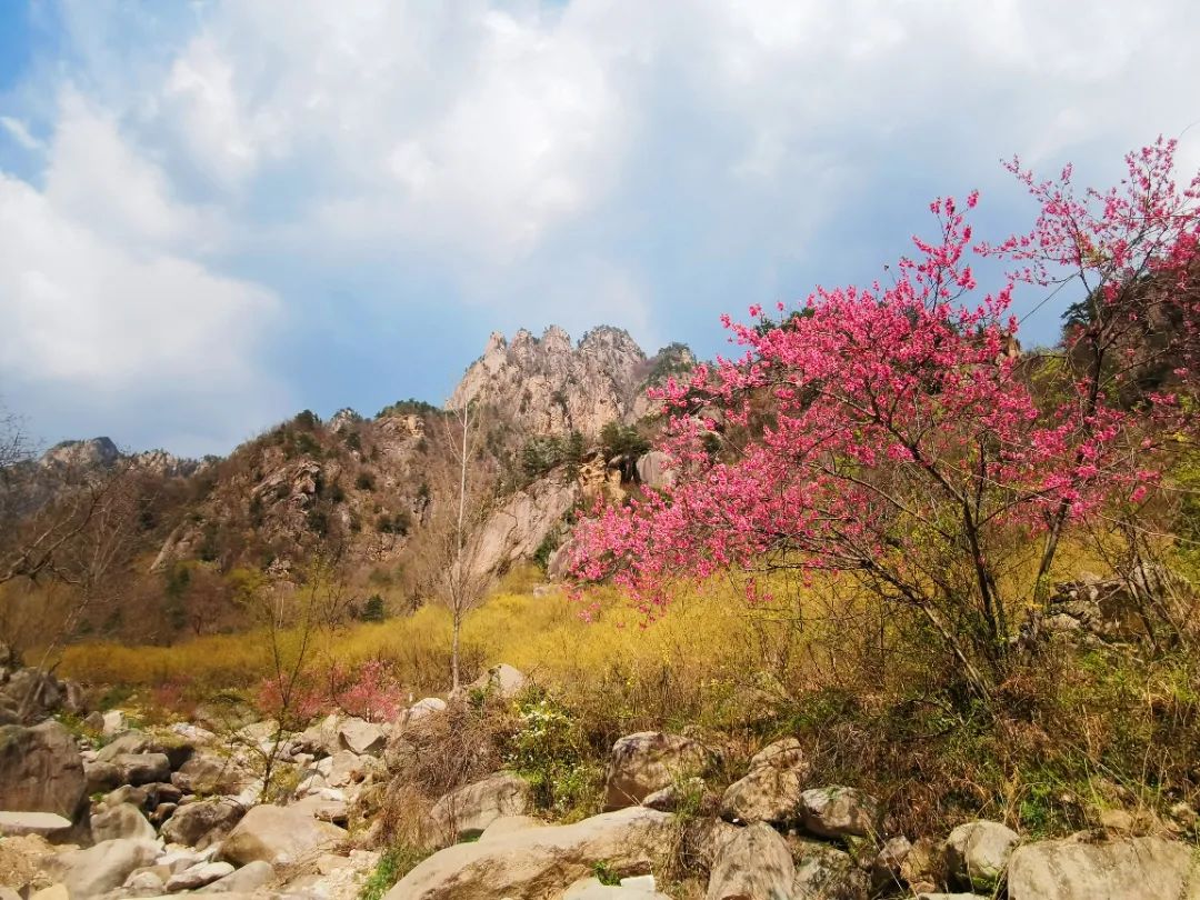 行走河南·读懂中国丨老界岭对全国女士免门票