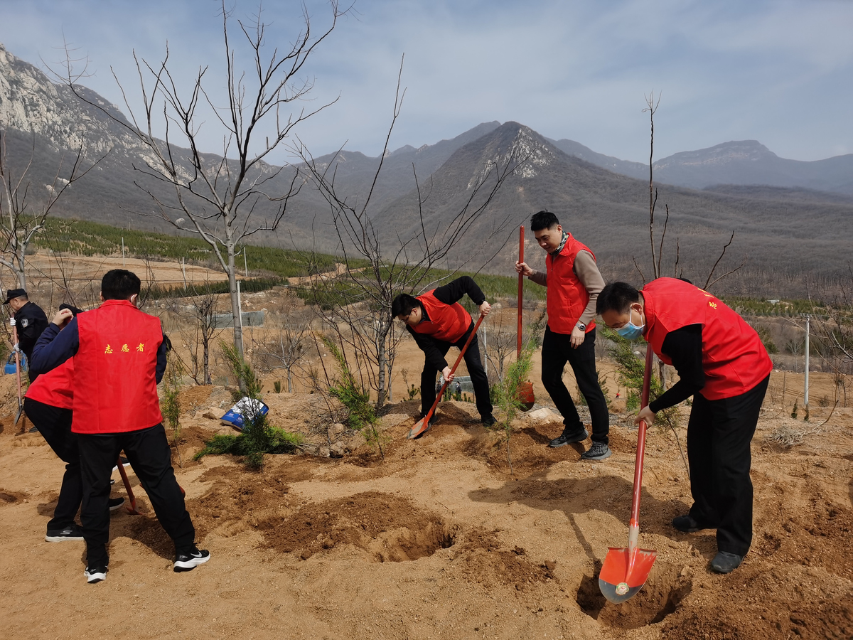 省教育厅组织党员干部参加植树活动  新闻资讯  第3张