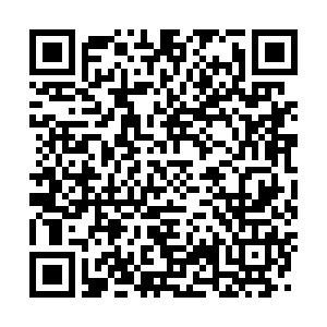 9835129788059498