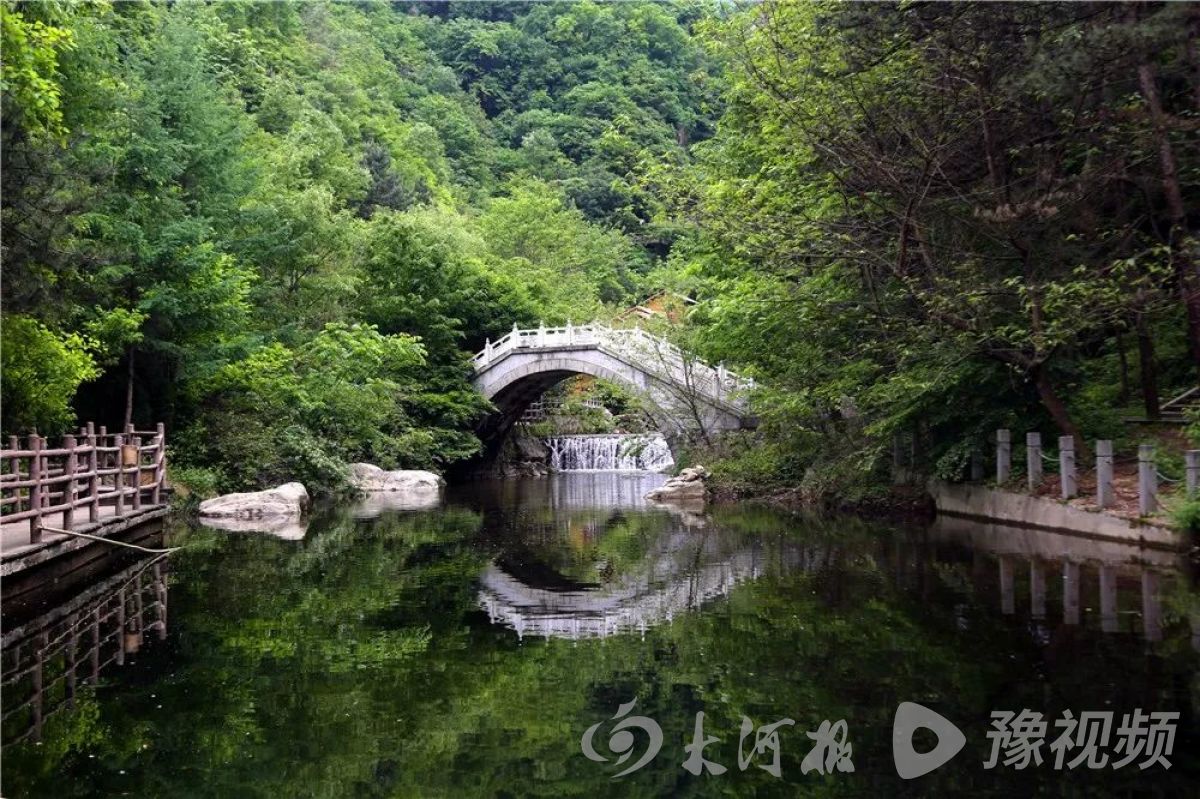 行走河南·读懂中国丨春游老君山 这些美景值得一看