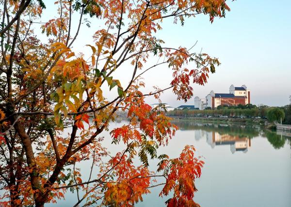 Picturesque Xinyang in Early Winter