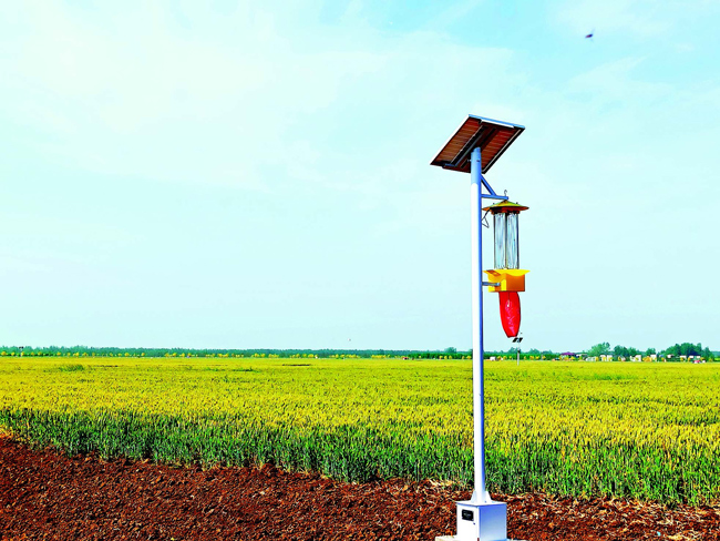 8000万亩 稳稳的担当