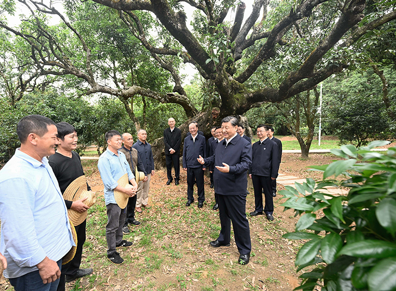 习近平在广东考察时强调：坚定不移全面深化改革扩大高水平对外开放 <br>在推进中国式现代化建设中走在前列