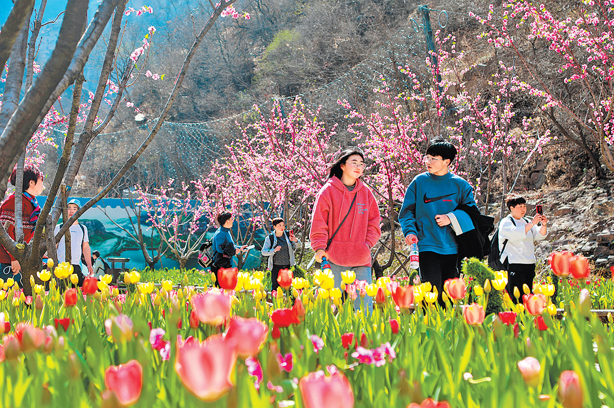 河南省气象局发布花期预报