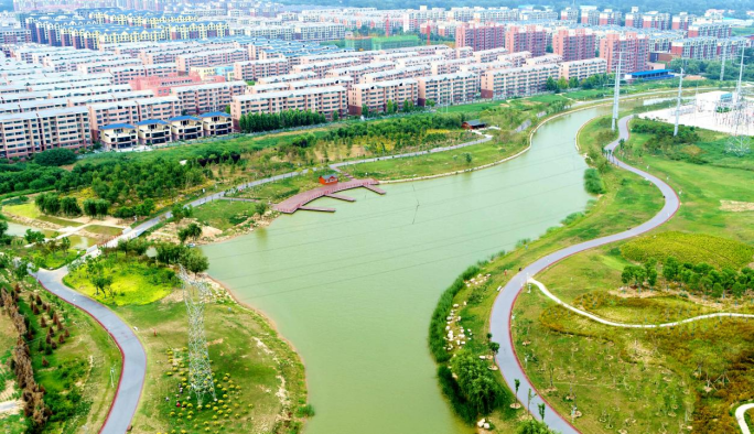 美丽乡村新乡中长垣市乡村振兴局党组书记局长刘超的墩苗故事