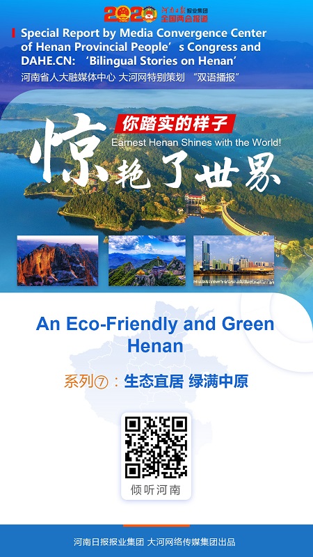 你踏实的样子，惊艳了世界⑦——生态宜居 绿满中原