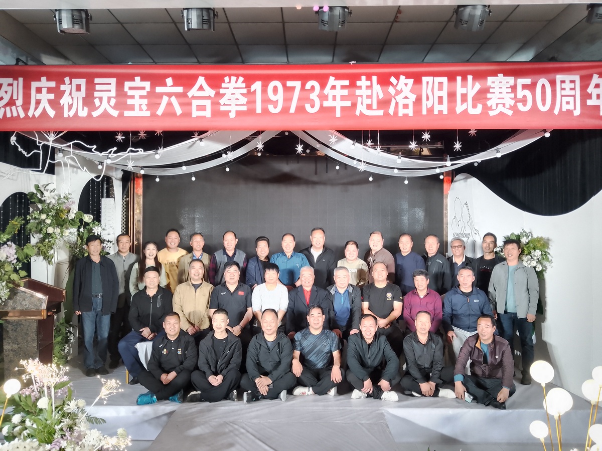 接力传承 发扬光大 灵宝六合拳申遗非物质文化遗产重点项目