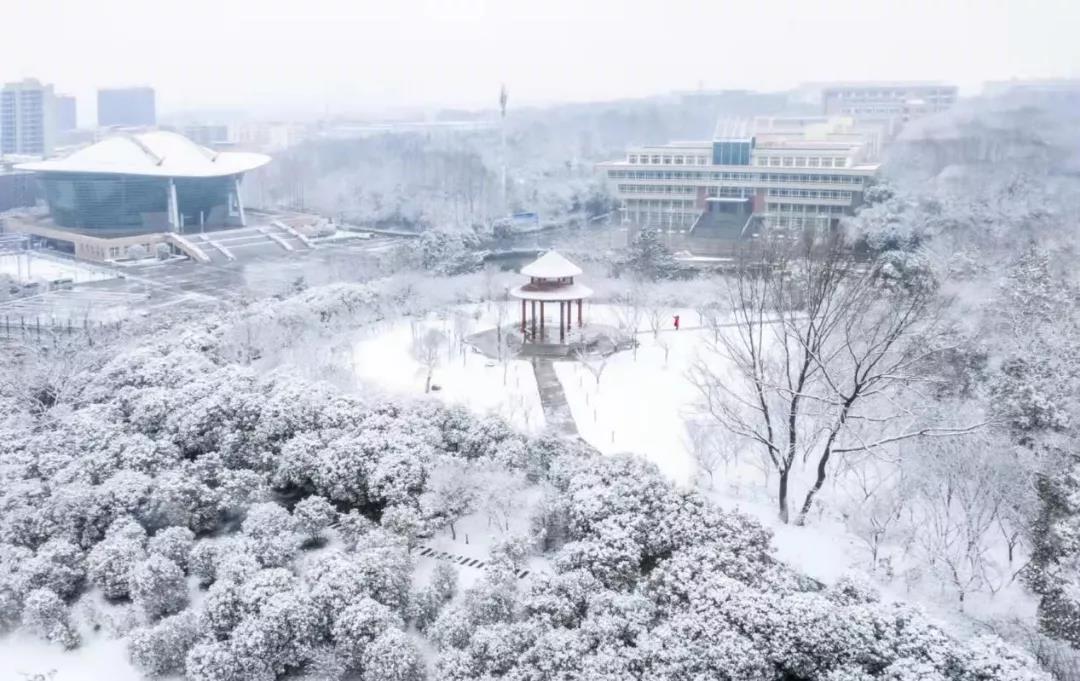 瑞雪兆丰年！你那里下雪了吗？