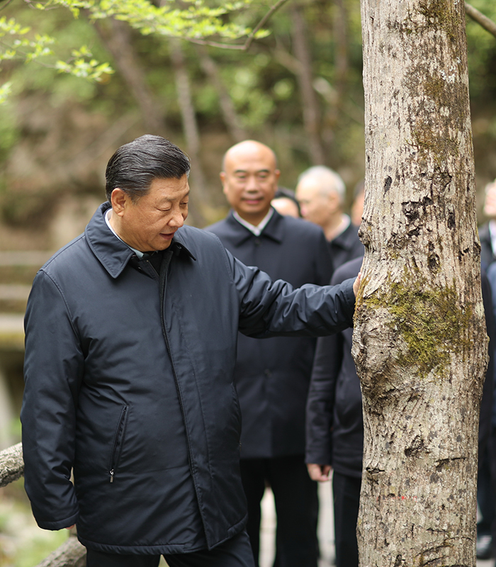 特稿：习近平带领百年大党奋进新征程