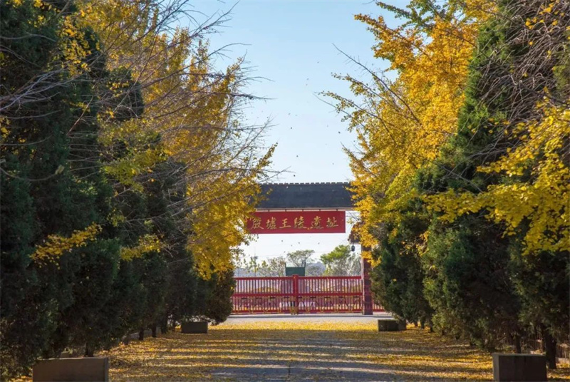 紧跟总书记的足迹•探寻文化根脉