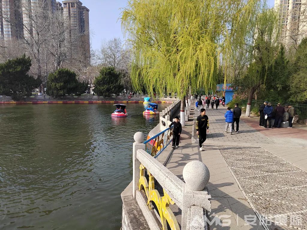 行走河南·读懂中国丨安阳：春色正浓 美景醉人