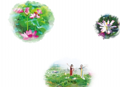 周口市淮阳区：为“荷”而来 走出文旅发展之路新风采