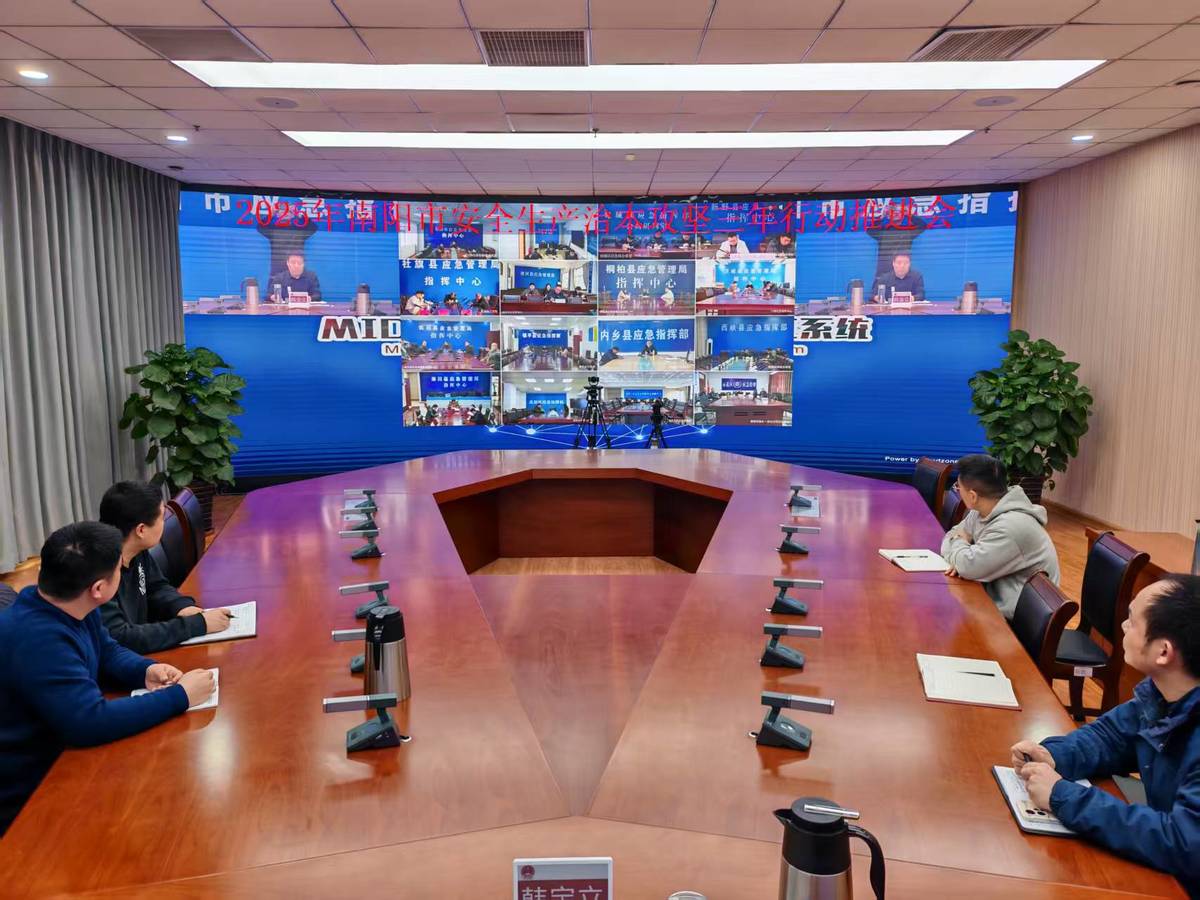 南阳市召开全市安全生产治本攻坚三年行动工作推进会