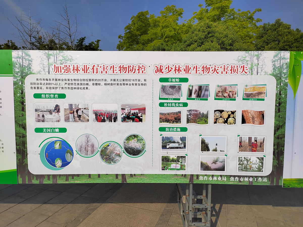 焦作市林业局积极开展防灾减灾宣传活动