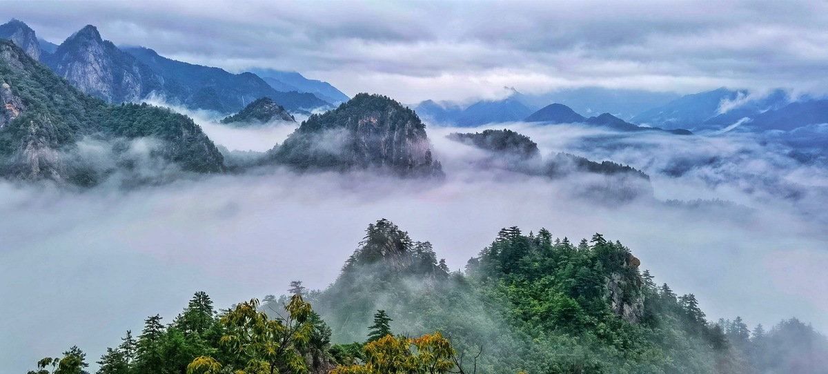 【行走河南·读懂中国】老界岭云海漫卷美如画