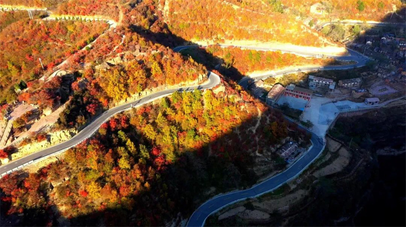 【行走河南·读懂中国】来自秋日石板岩的一封信：树树皆秋色 山山唯落晖