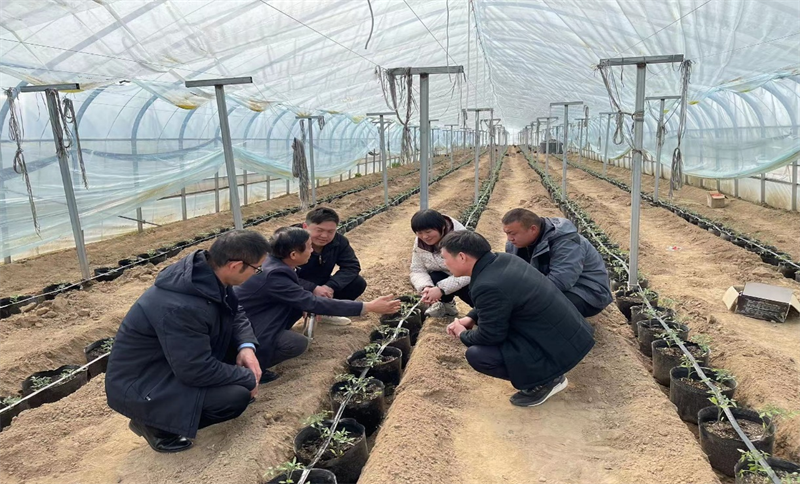 省教育厅驻村联系点开春后全面展开系列帮