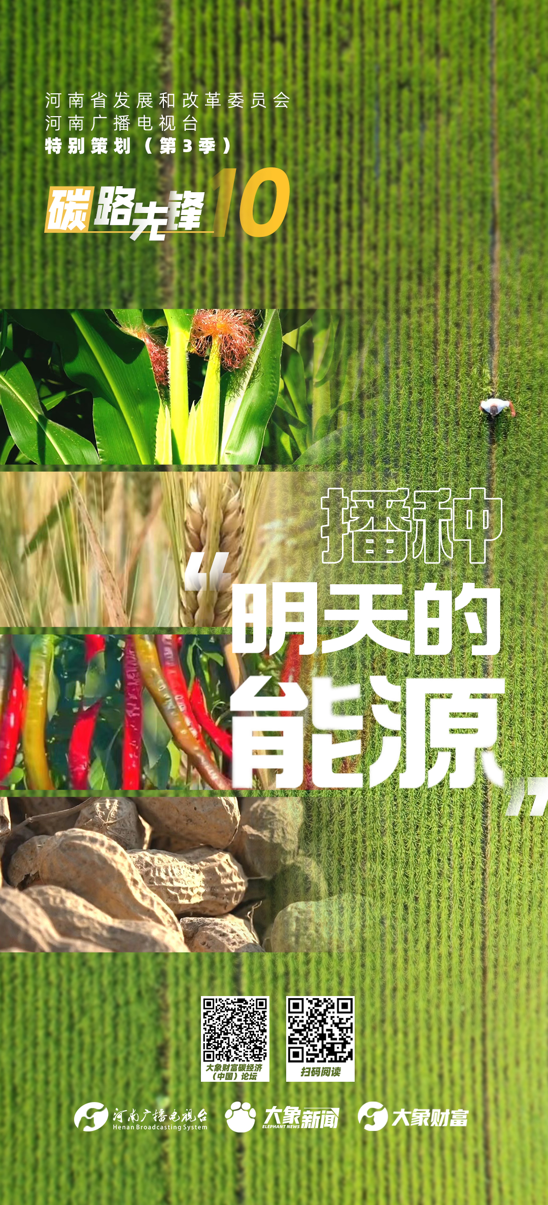 碳路先锋⑩ | 播种“明天的能源”