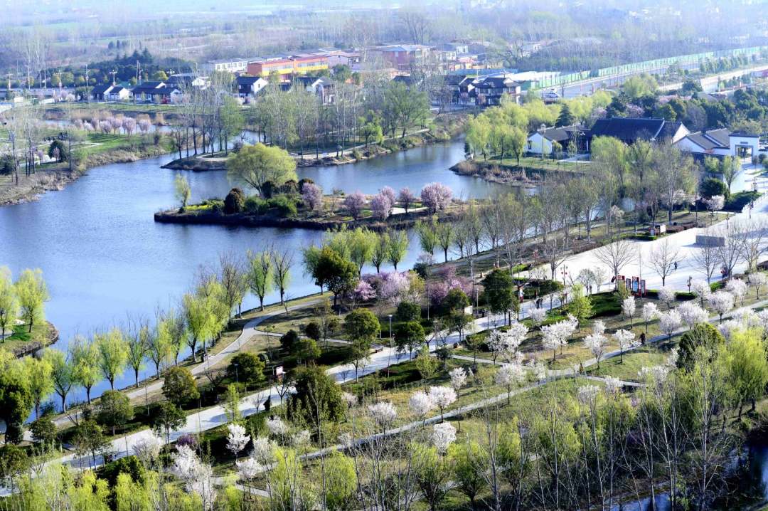 行走河南·读懂中国丨千年古县汝南：百花盛开春满园