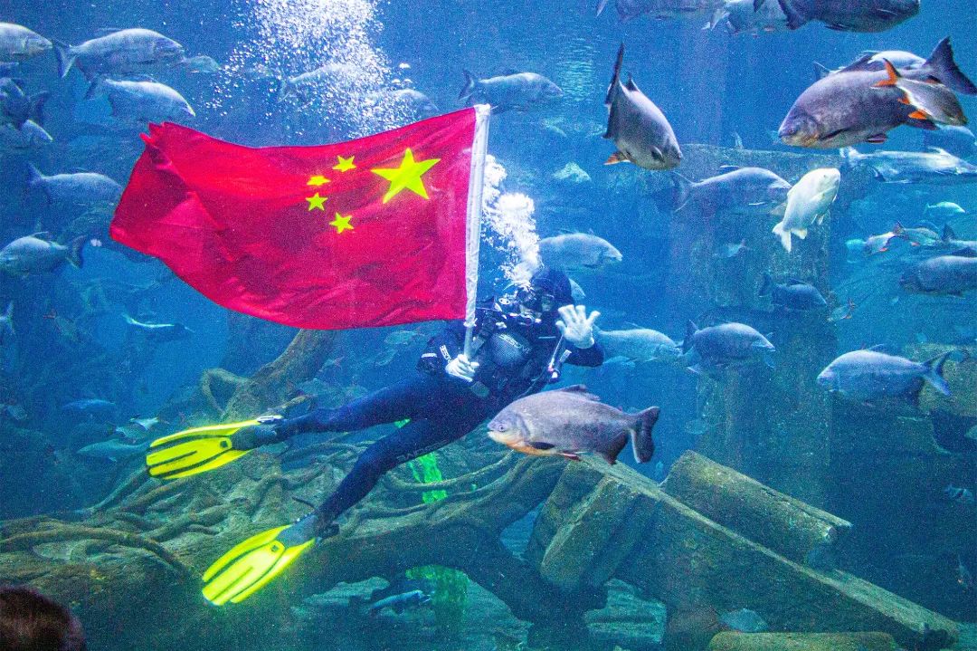 接待游客1683.2万人次！郑州双节文旅成绩单出炉