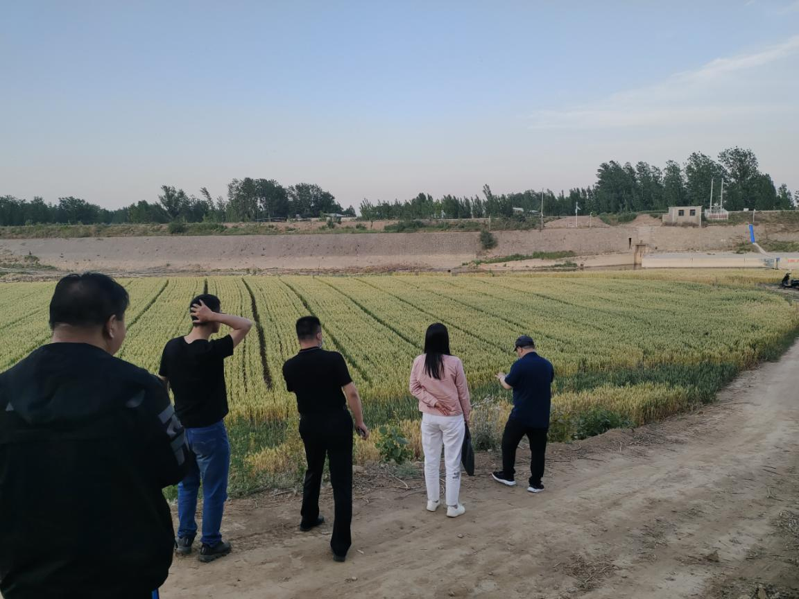 省水利厅调研鹤壁市2022年防汛保安专项执法行动开展情况