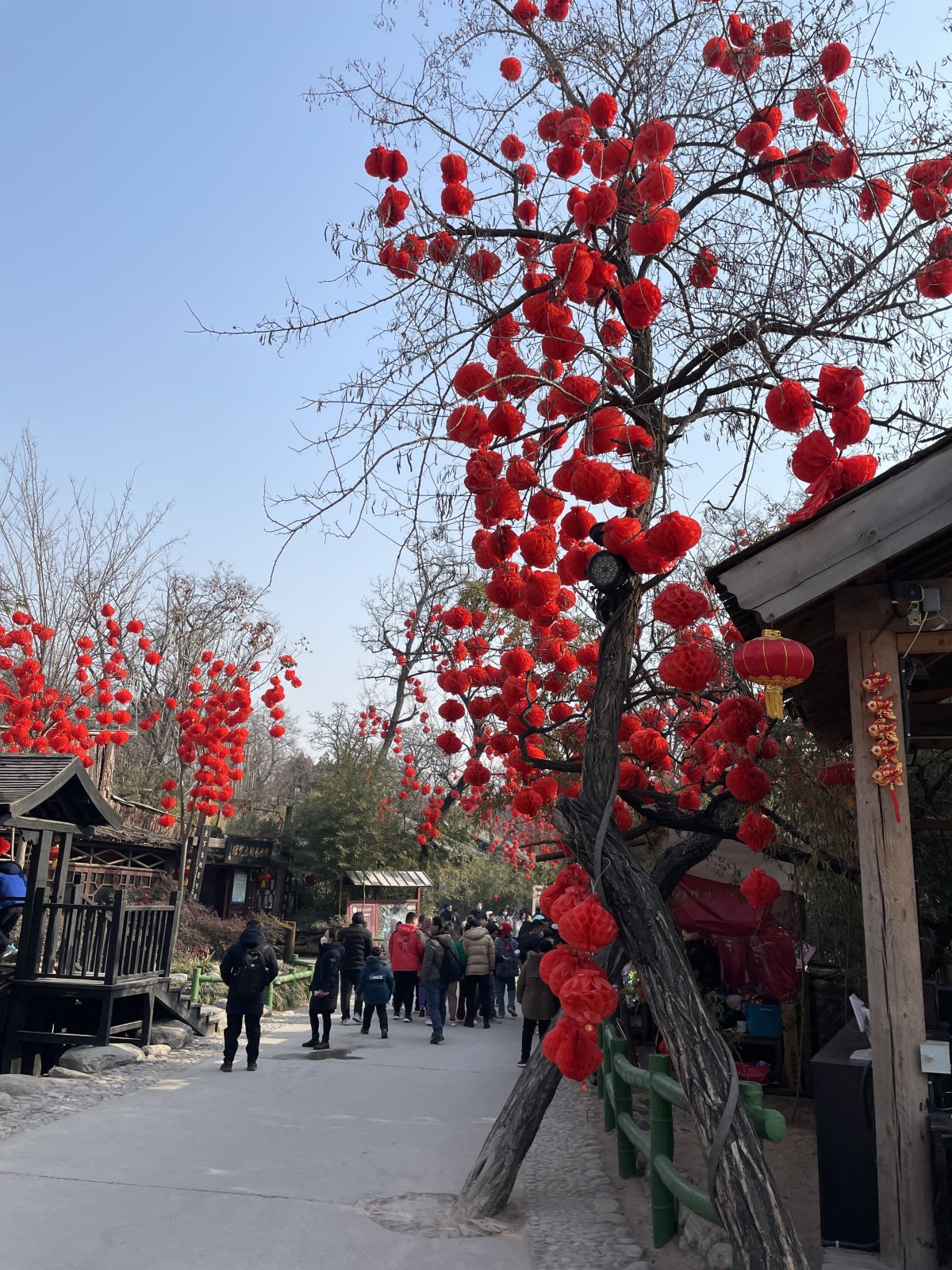 大年初一 开封市部分景区游人如织