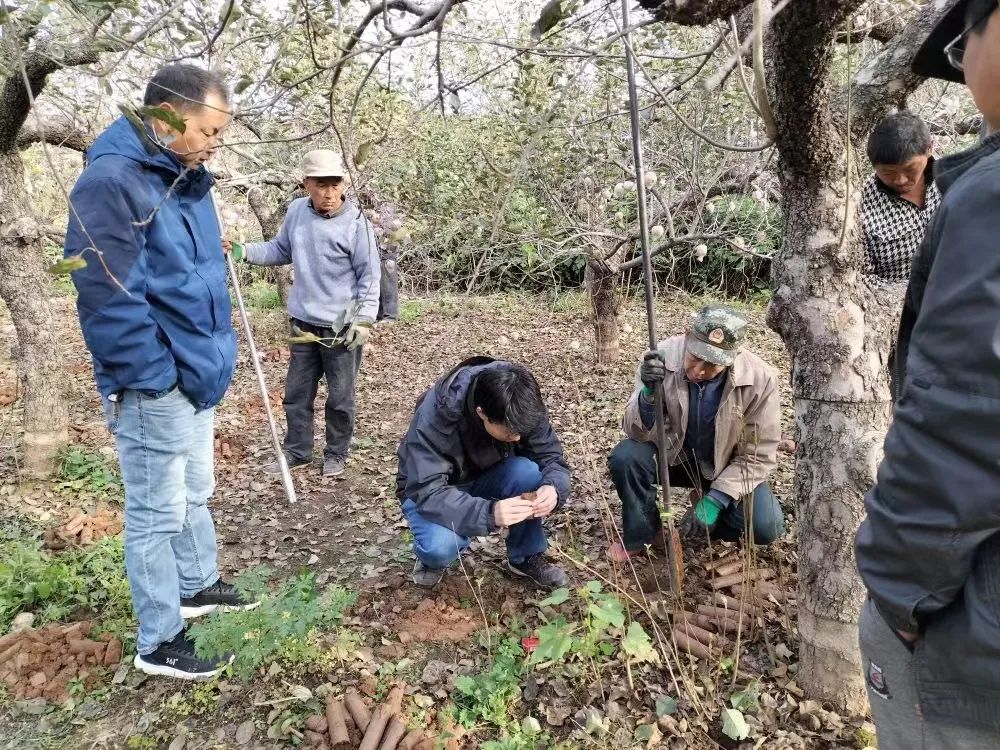 殷墟王陵区入选2022年中国考古新发现