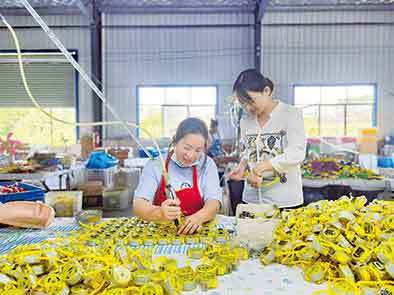 央媒看河南丨木兰之乡盛产“花木兰”，她们的作品被当作国礼