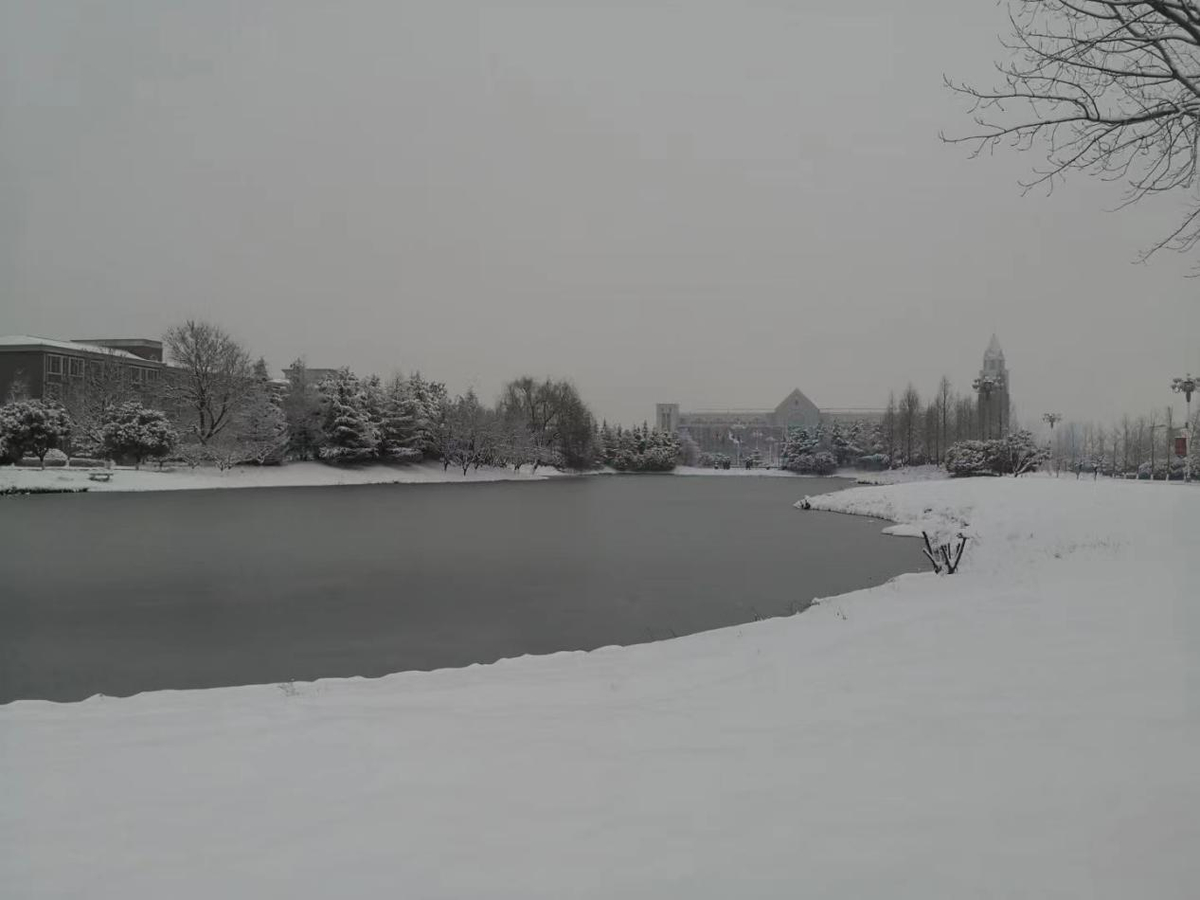 校园雪景