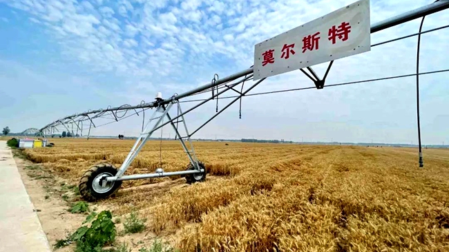 【奋战“三夏”】麦浪中的神器