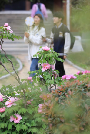壁画复原、打卡“集章”……<br>4月13日至16日，来洛阳古墓博物馆沉浸式探宝