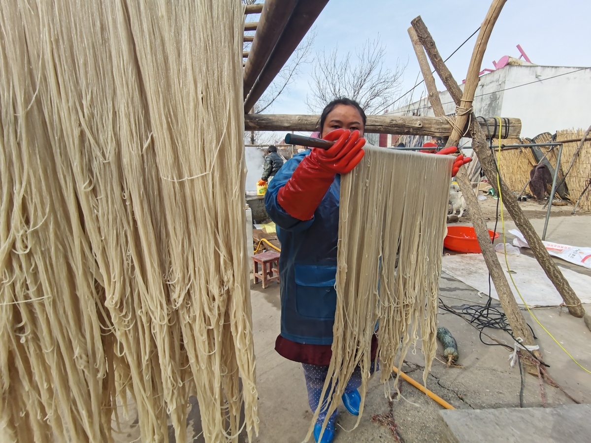 央媒看河南丨驻马店市驿城区：发展红薯产业 助力乡村振兴